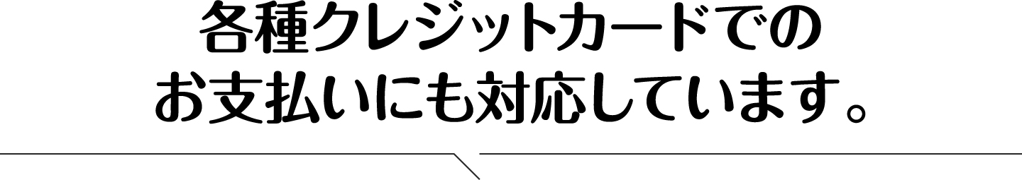 各種クレジットカードでのお支払いにも対応しています。